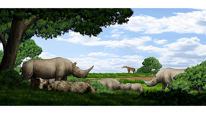 临夏盆地晚中新世伊朗犀生态复原